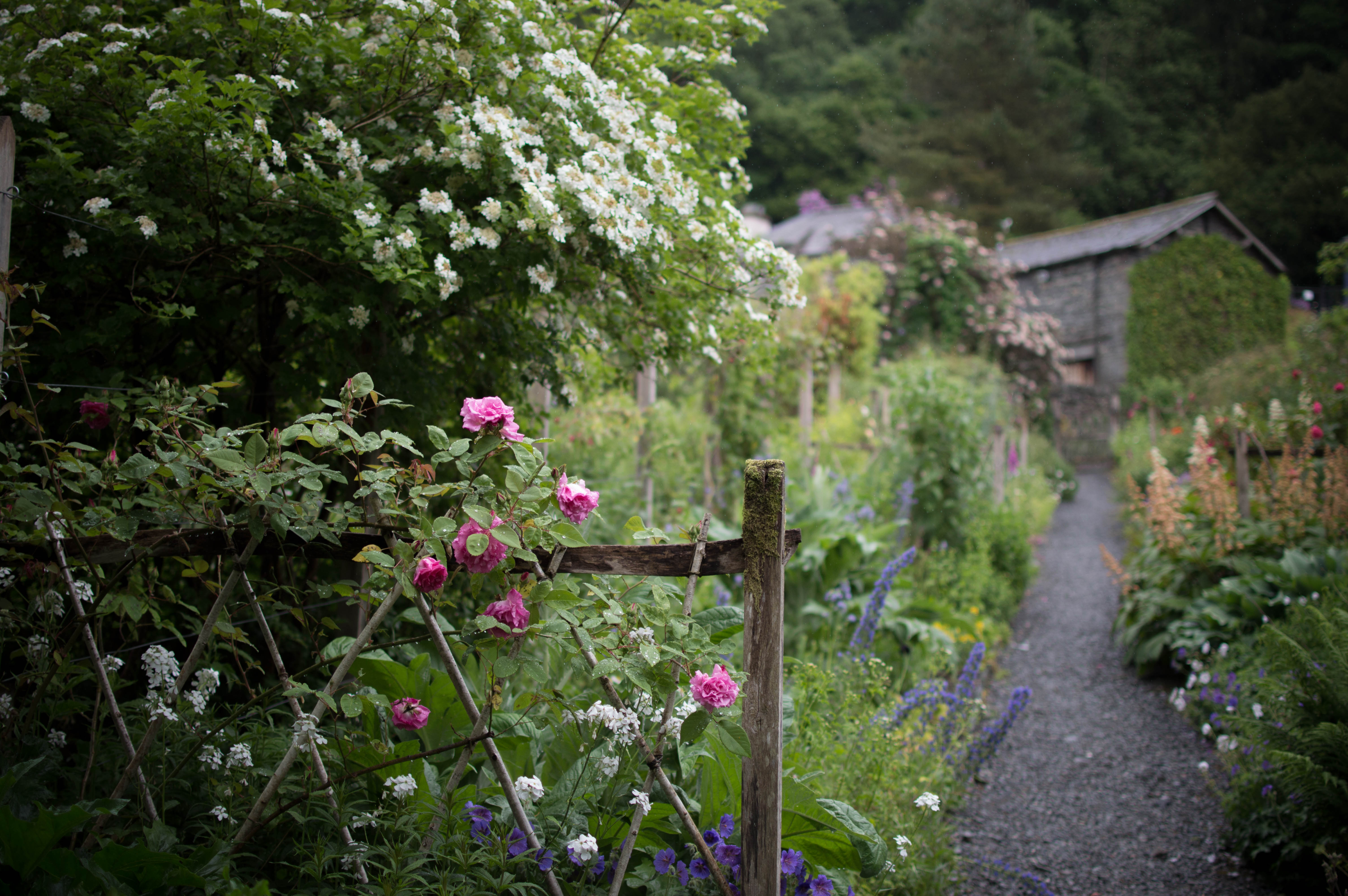 Jardin fleurit et arboré