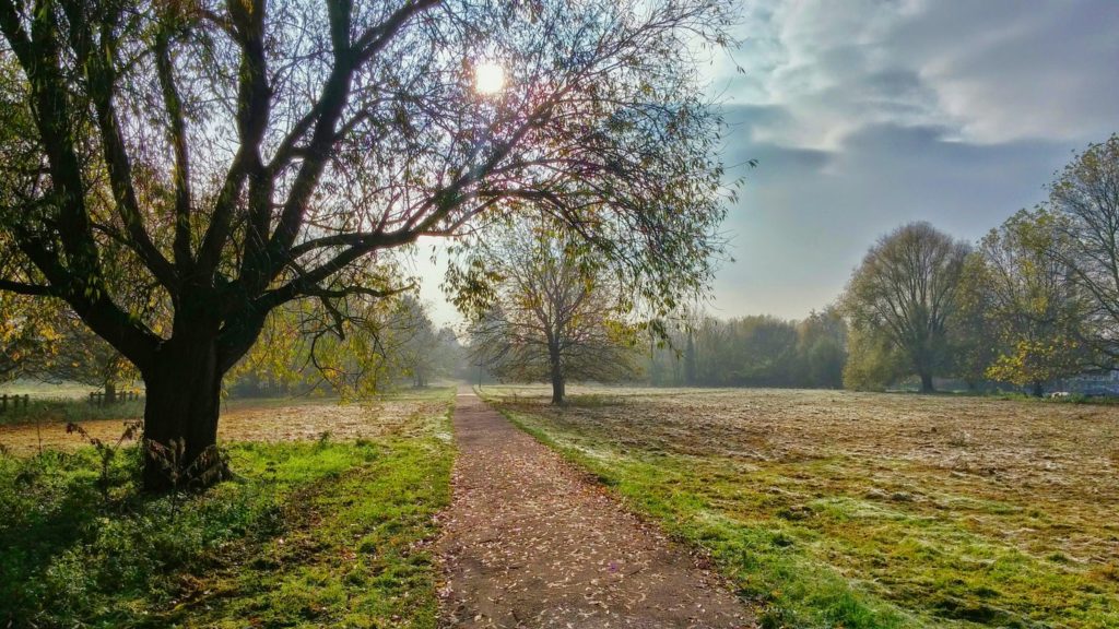 bien être paysage sans bruit feng shui